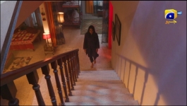 Saaya 2 - 11th Jun 2022